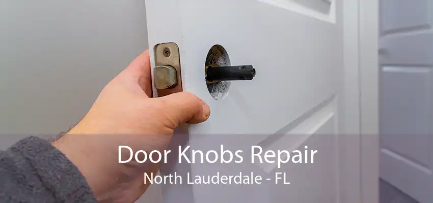 Door Knobs Repair North Lauderdale - FL